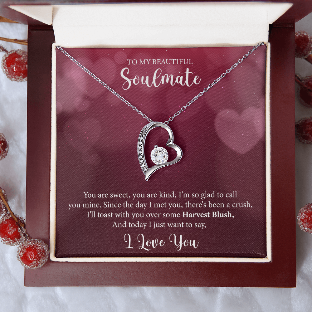 To My Soulmate, Forever Love Necklace