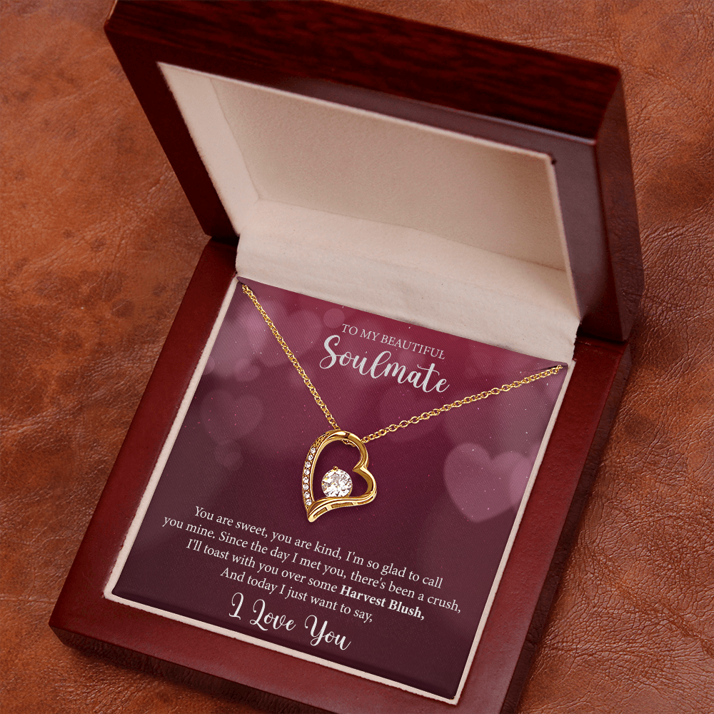 To My Soulmate, Forever Love Necklace