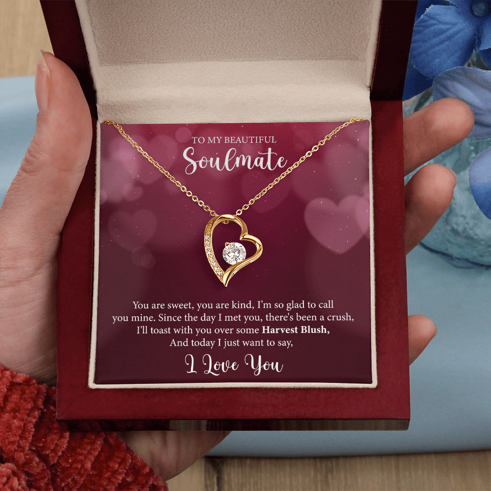 To My Soulmate, Forever Love Necklace