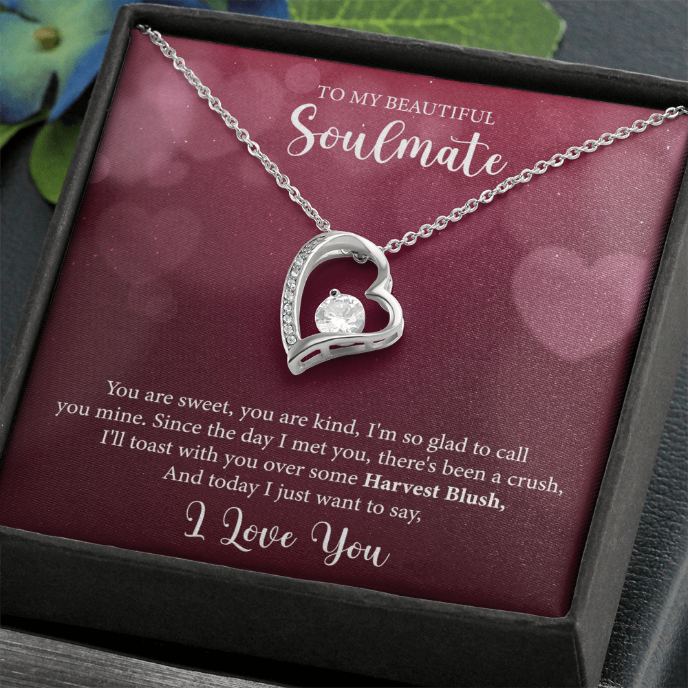 To My Soulmate, Forever Love Necklace