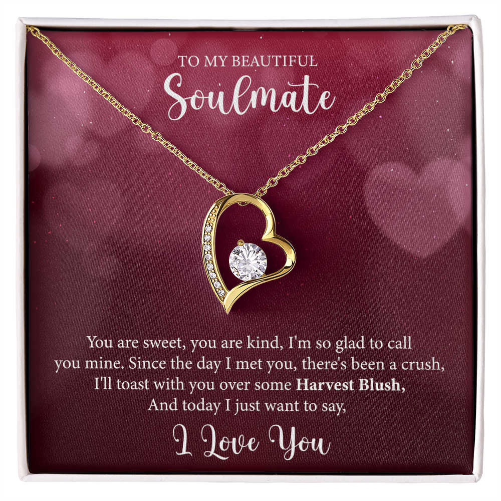 To My Soulmate, Forever Love Necklace