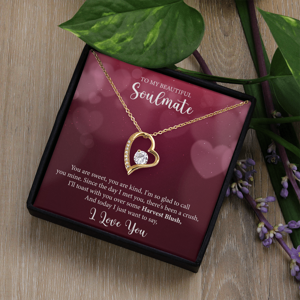 To My Soulmate, Forever Love Necklace
