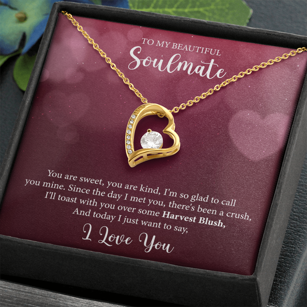 To My Soulmate, Forever Love Necklace
