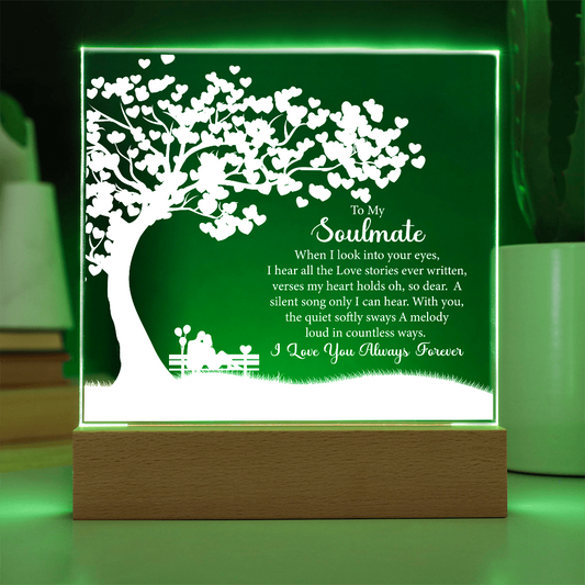 Soulmate, LED Acrylic Square Plaque