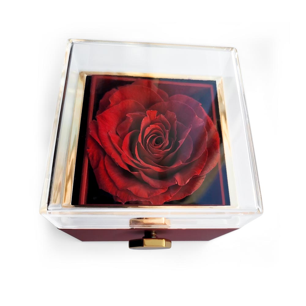 Love Knot with Rotating Rose Gift Box