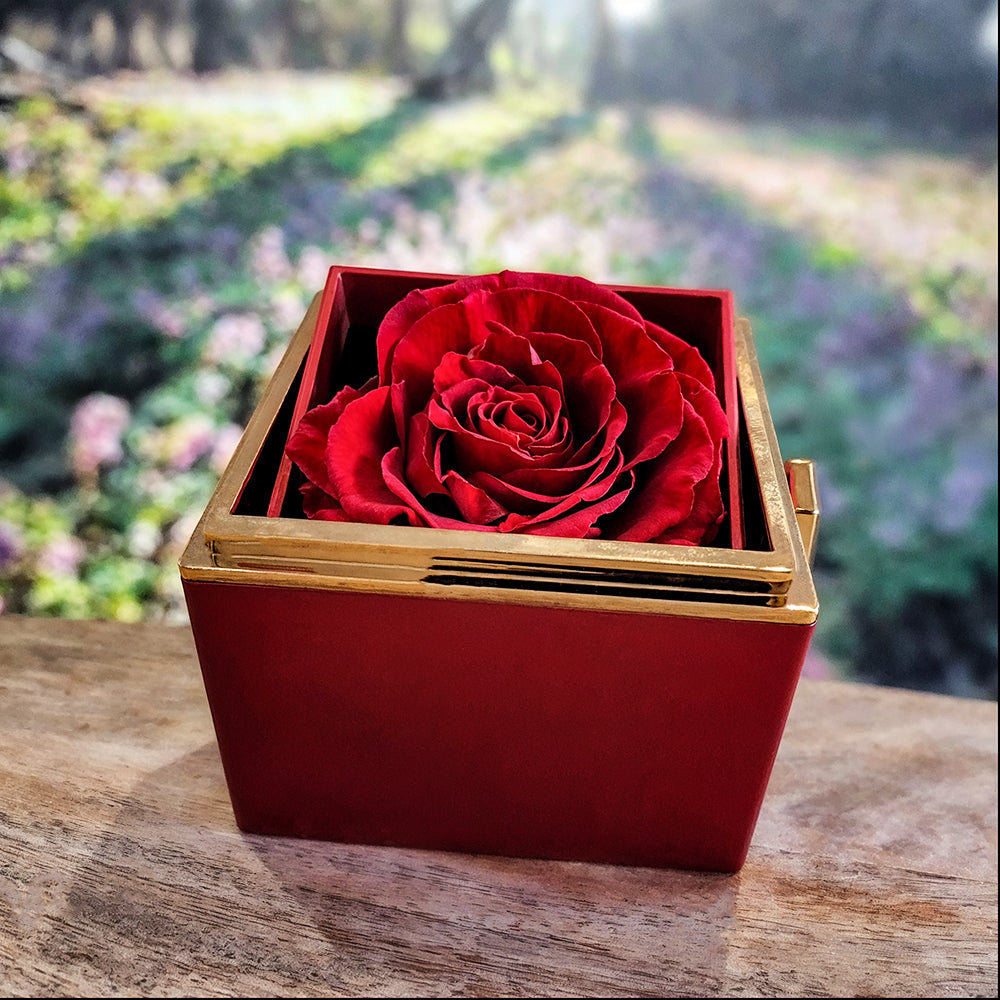 Love Knot with Rotating Rose Gift Box For Mom
