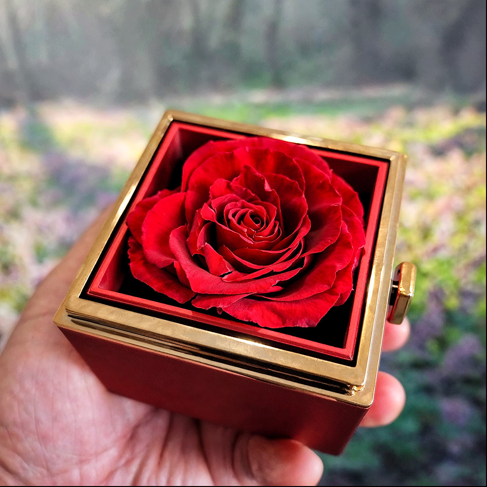 Love Knot with Rotating Rose Gift Box